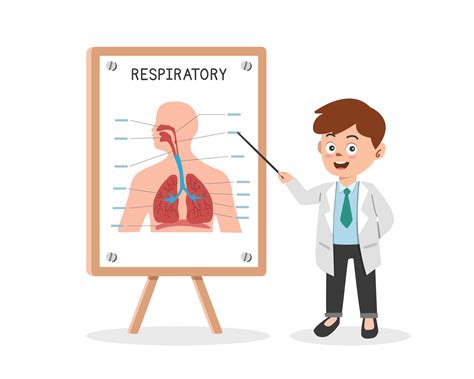 cartoonhd artificial respiration|Respiratory System Cartoon royalty.